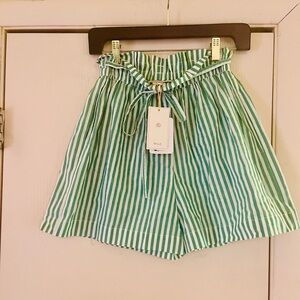 NWT Mille Cary Resort & Travel Sport Tennis Prep Striped Green Cotton Shorts